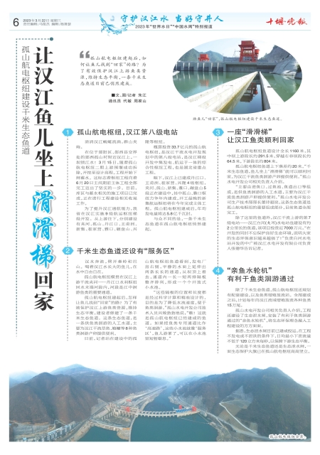 A06版导读