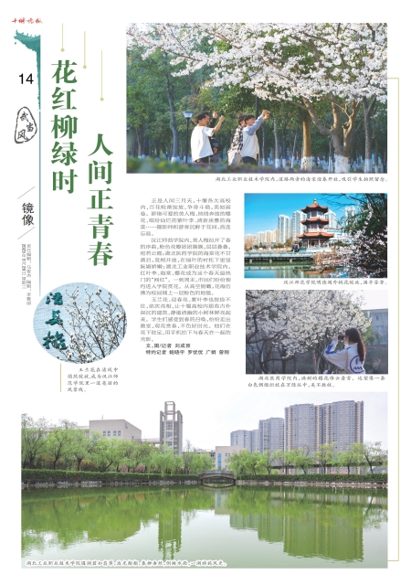 A14版导读