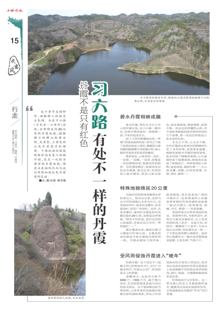 A15版导读
