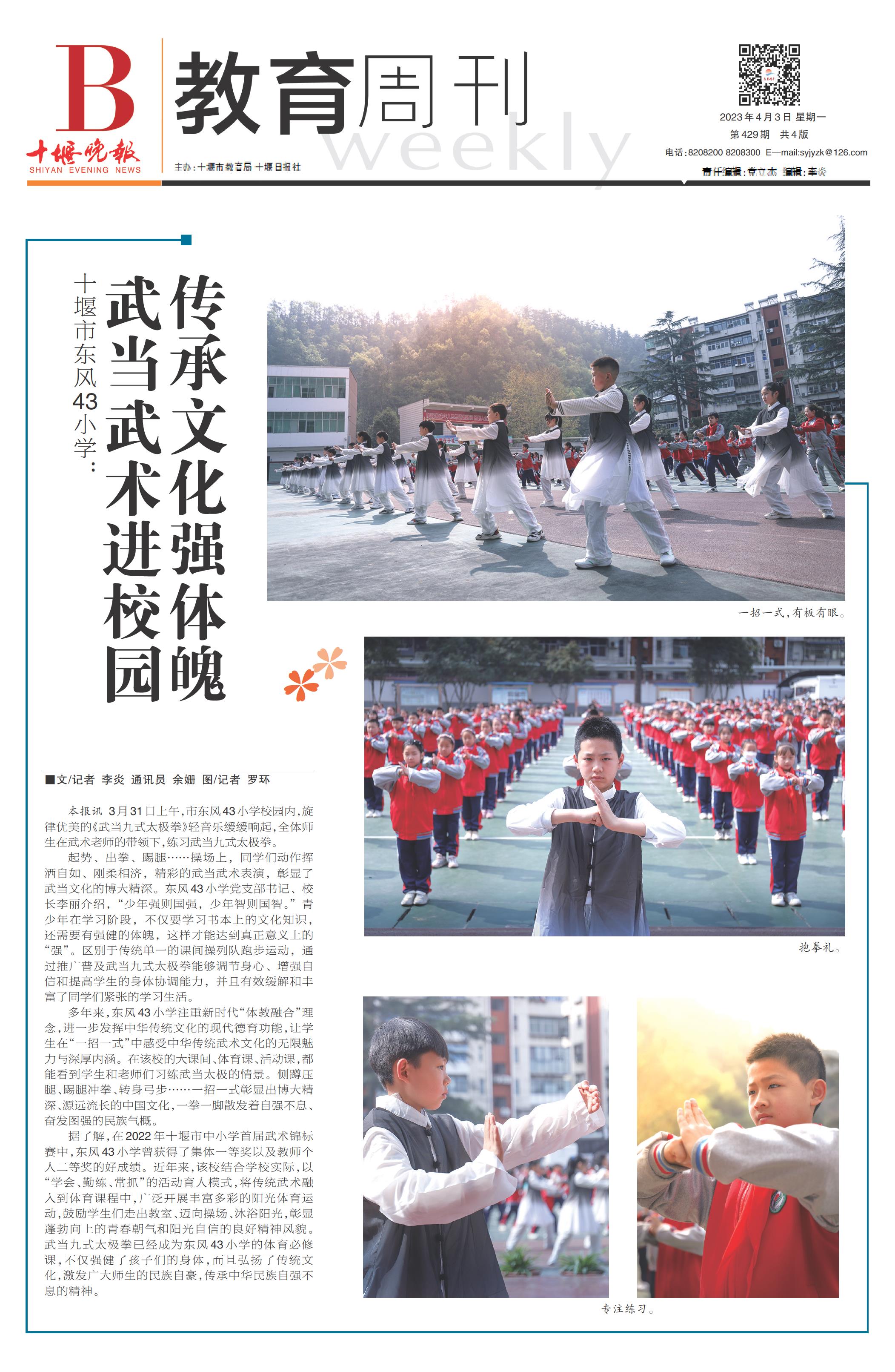 B01版导读