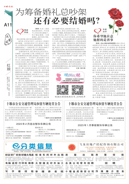 A11版导读