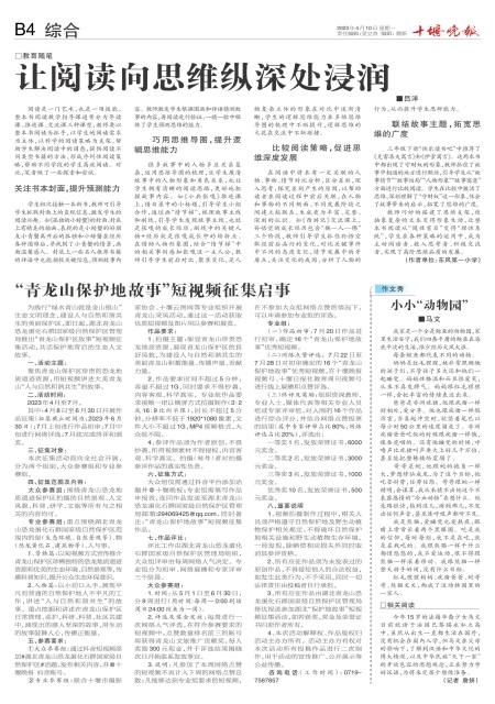 B04版导读