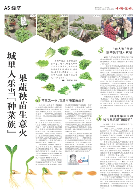 A05版导读