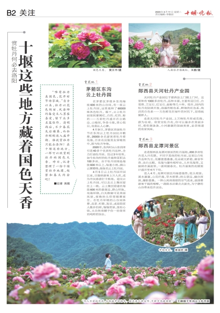 B02版导读