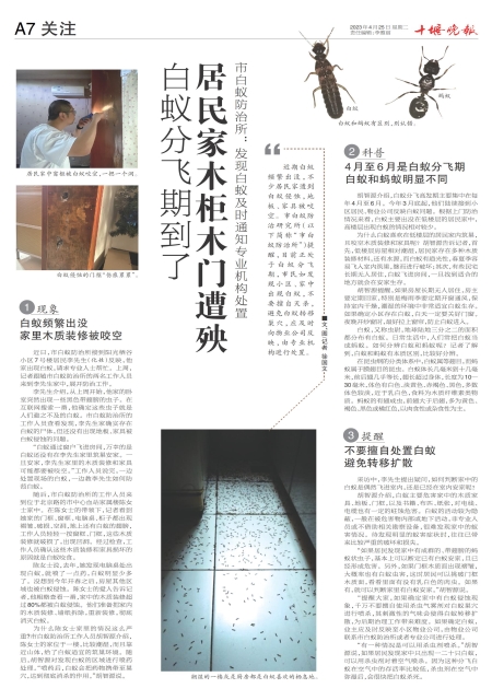 A07版导读