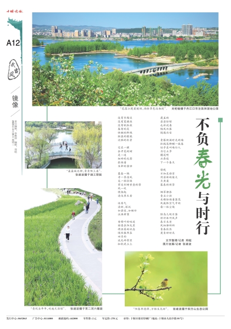A12版导读