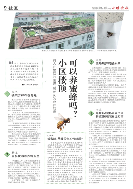 A09版导读