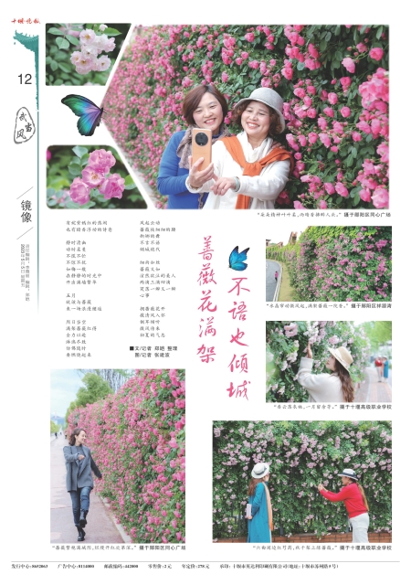 A12版导读