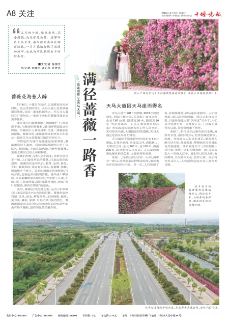 A08版导读