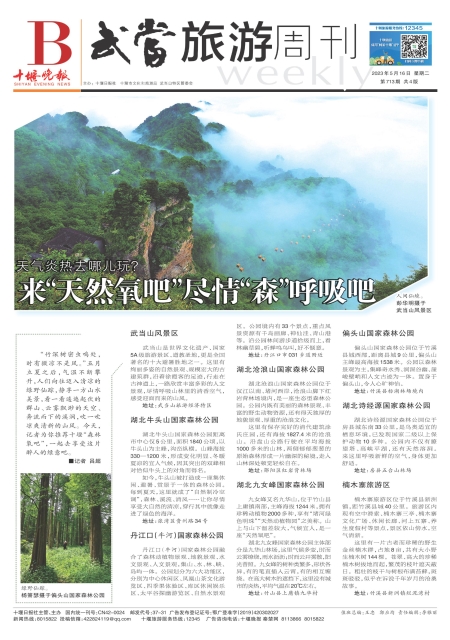 B01版导读