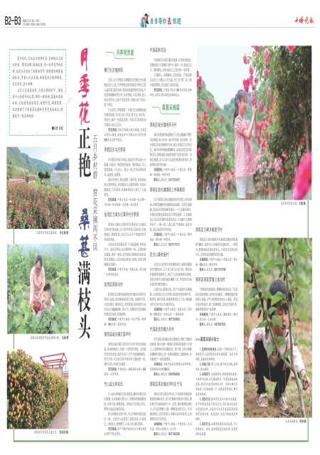 B03版导读