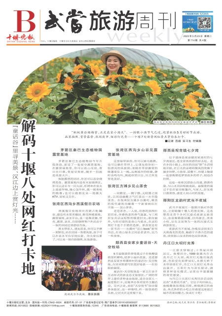 B01版导读