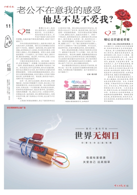 A11版导读