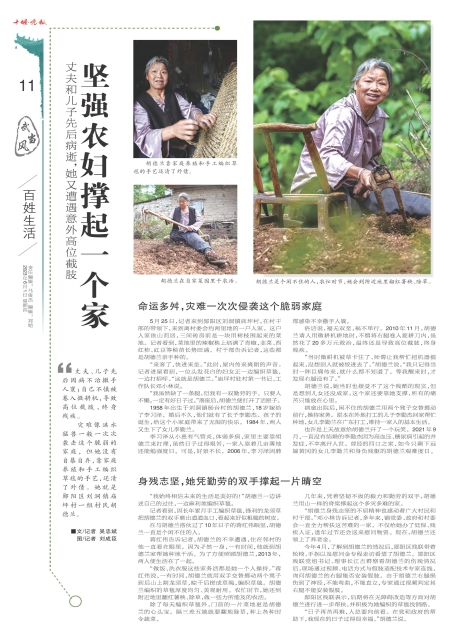 A11版导读