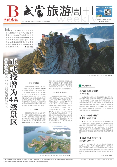 B01版导读