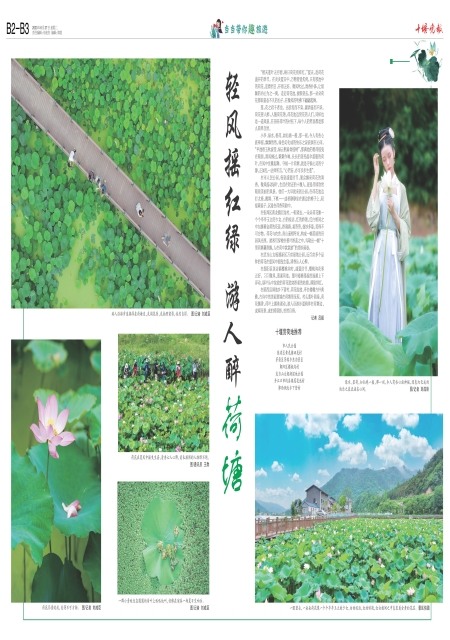 B02版导读