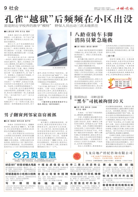A09版导读