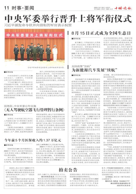 A11版导读