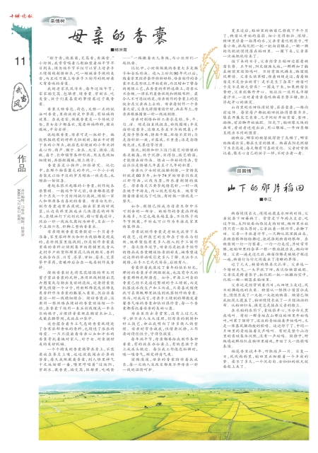 A11版导读