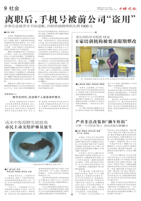A09版导读