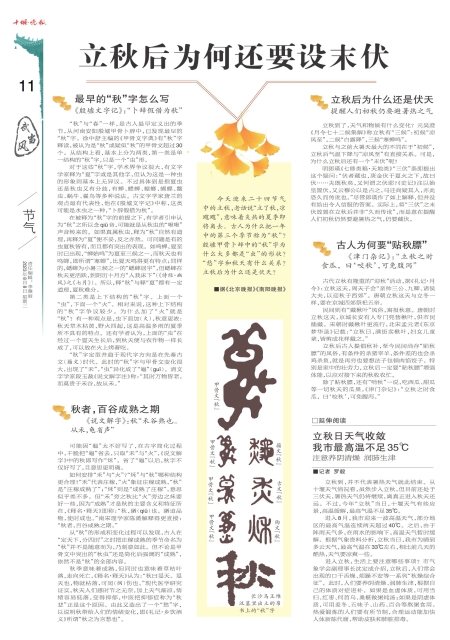 A11版导读