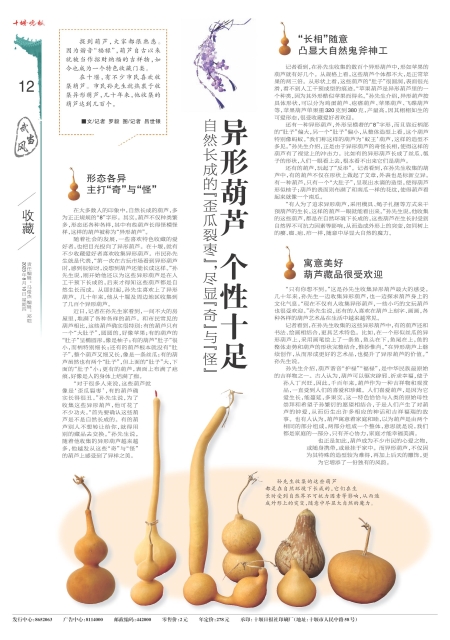 A12版导读