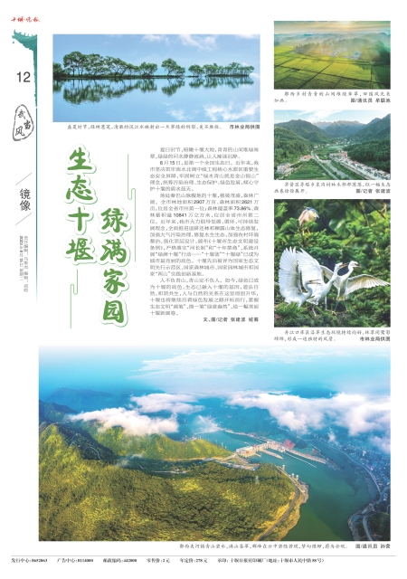 A12版导读