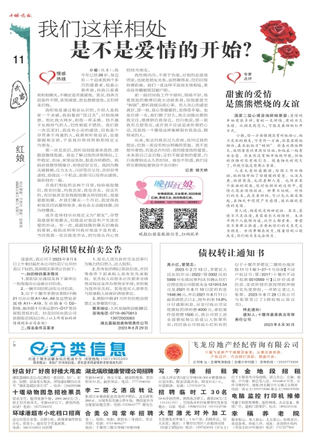 A11版导读