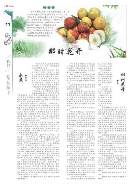 A11版导读