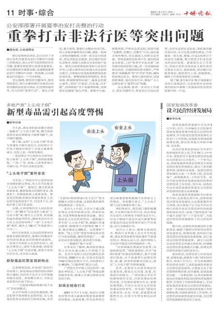 A11版导读
