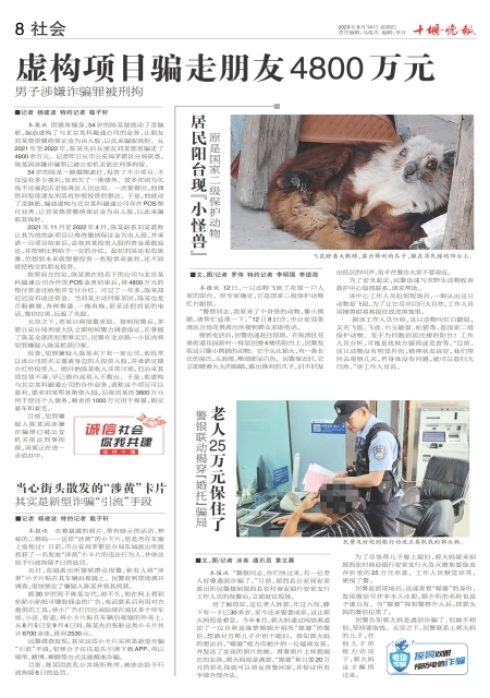 A08版导读