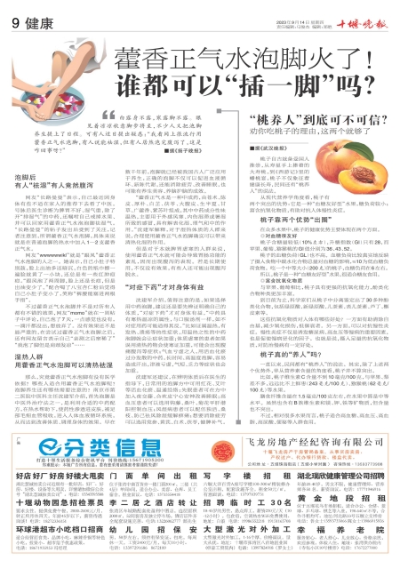 A09版导读
