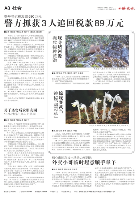 A08版导读