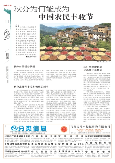 A11版导读