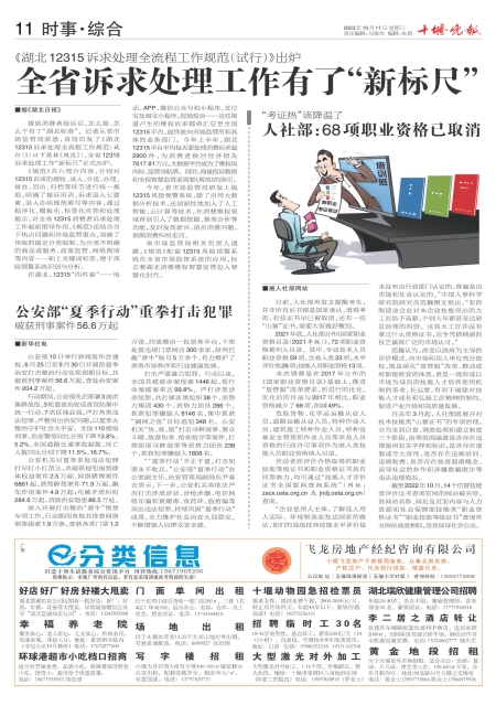 A11版导读