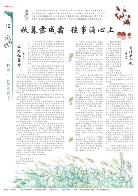 A12版导读