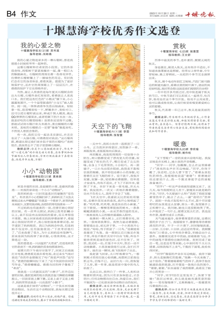 B04版导读