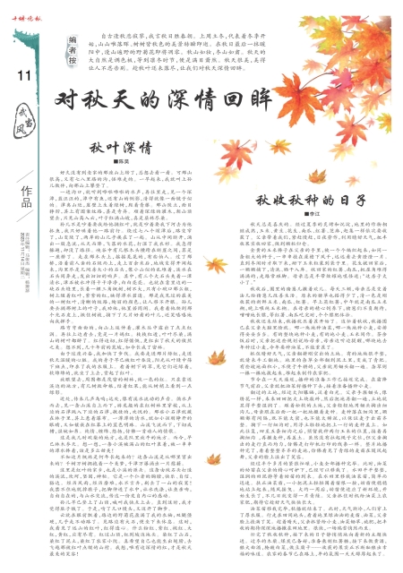 A11版导读