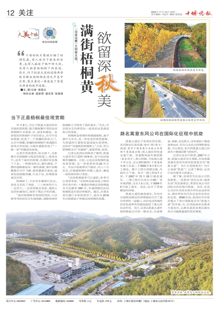 A12版导读