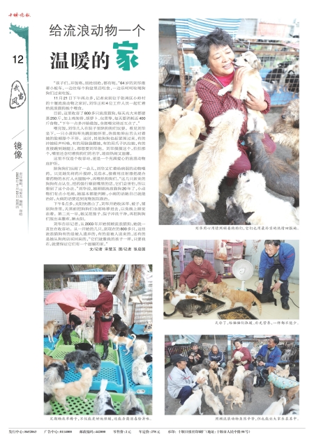 A12版导读
