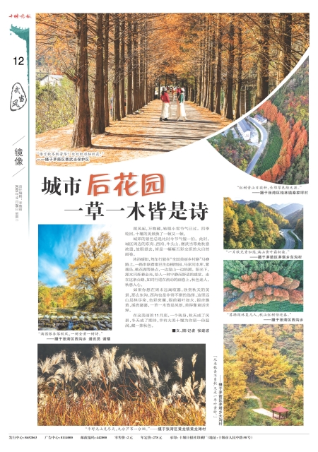 A12版导读
