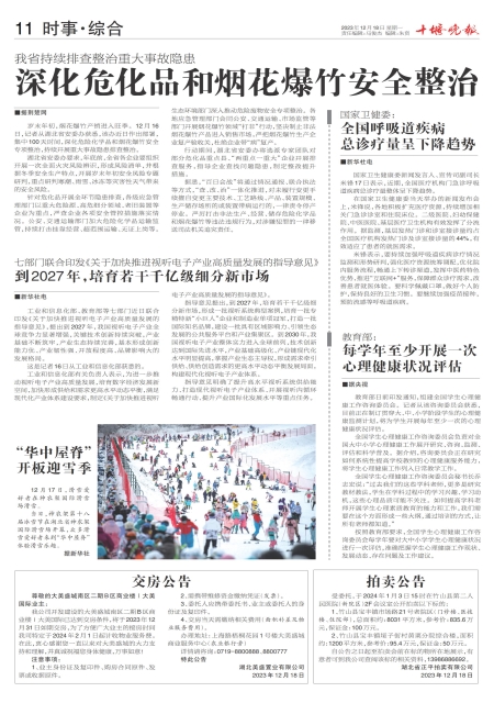 A11版导读