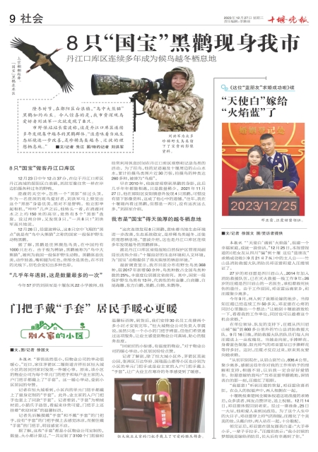 A09版导读