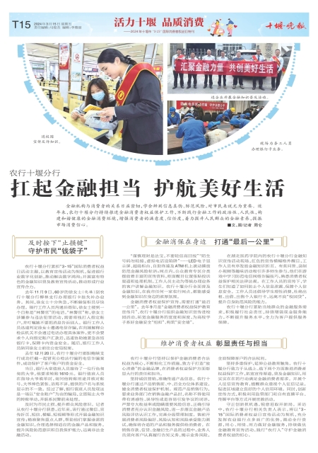 B15版导读