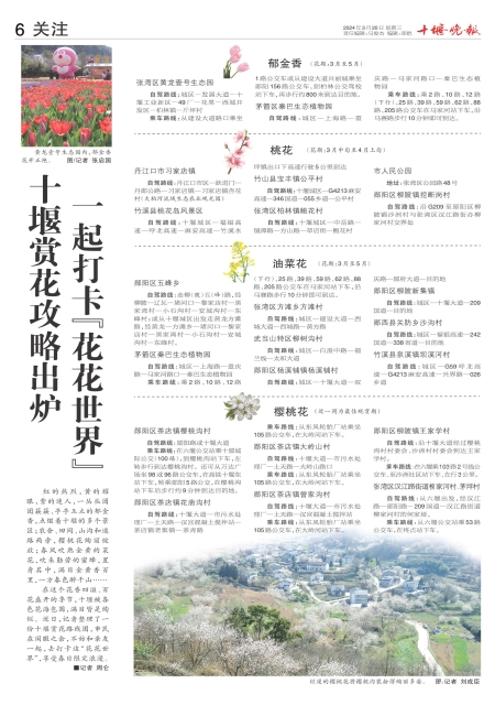 A06版导读