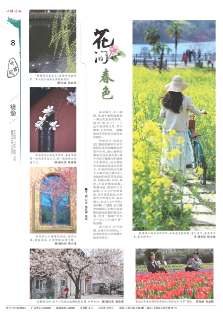 A08版导读