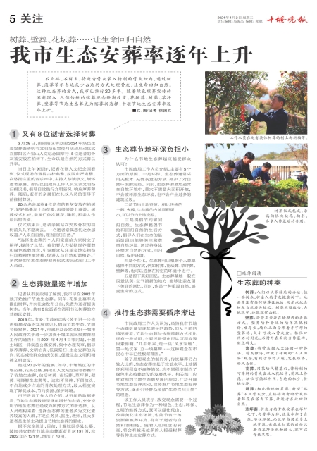 A05版导读