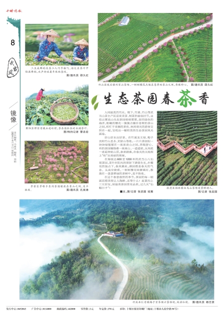 A08版导读