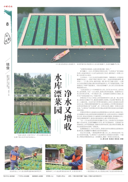 A08版导读