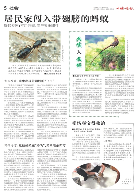 A05版导读